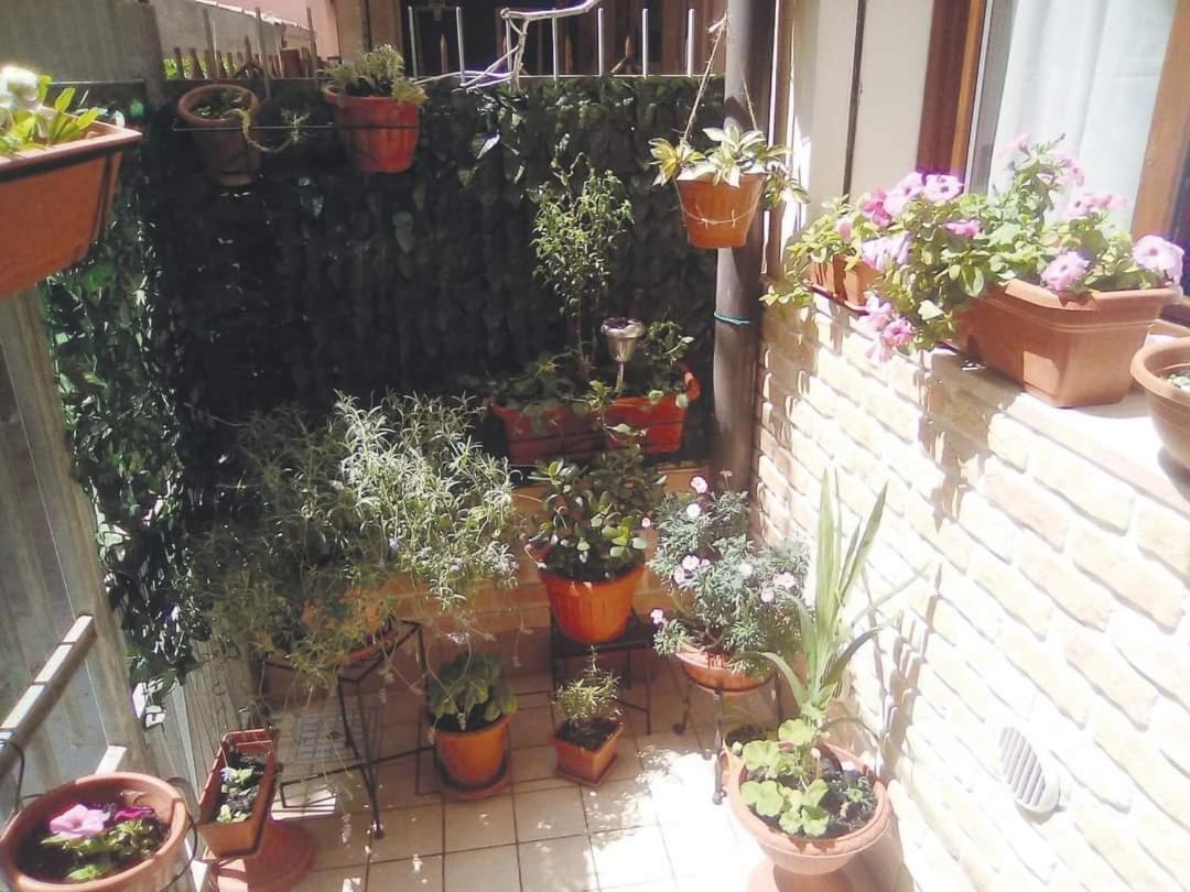 Apartament Casa Elisa Sottomarina Di Chioggia Zewnętrze zdjęcie